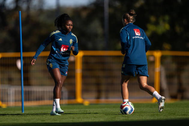 Fußball, Frauen, Nationalteam Schweden, Training