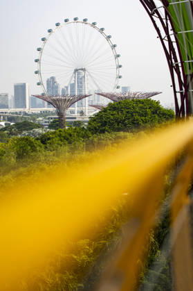 F1 - SINGAPORE GRAND PRIX 2026 Singapore Flyer, ambiance during the 2026 Formula 1 Singapore Grand Prix, 17th round of the 2026 Formula One World Championship, WM, Weltmeisterschaft from October 9 to 11, 2026 on the Marina Bay Street Circuit, in Singapore, Singapore - SingaporeSingapore  Copyright: xJulienxDelfossex