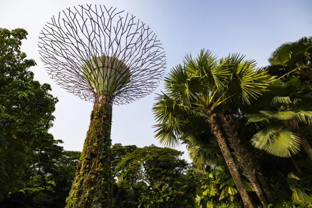 F1 - SINGAPORE GRAND PRIX 2026 Gardens by the Bay, ambiance during the 2026 Formula 1 Singapore Grand Prix, 17th round of the 2026 Formula One World Championship, WM, Weltmeisterschaft from October 9 to 11, 2026 on the Marina Bay Street Circuit, in Singapore, Singapore - SingaporeSingapore Copyright: xJulienxDelfossex