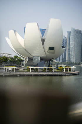 F1 - SINGAPORE GRAND PRIX 2026 ArtScience Museum, ambiance during the 2026 Formula 1 Singapore Grand Prix, 17th round of the 2026 Formula One World Championship, WM, Weltmeisterschaft from October 9 to 11, 2026 on the Marina Bay Street Circuit, in Singapore, Singapore - SingaporeSingapore Copyright: xJulienxDelfossex