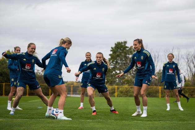 Fußball, Frauen, Nationalteam Schweden, Training