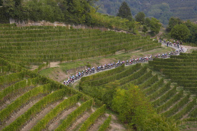 The pack rides during the 110th edition of the Gran Piemonte 2026 a 185 km one day race from Asti to Bra on October 08, 2026, Italy.  Copyright: xFabioxFerrari LaPressex