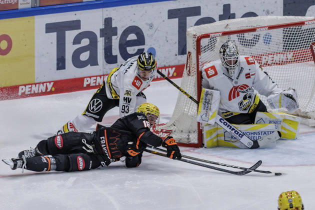 PEnny DEL Löwen Frankfurt vs. Krefeld Pinguine, October 8, 2026: Eric Uba (Löwen Frankfurt, 18) and Stuart Percy (Krefeld Pinguine, 93) battle for the puck in front of Felix Bick (Krefeld Pinguine, 31), Löwen Frankfurt vs. Krefeld Pinguine, Frankfurt, NIX Ice Arena, October 8, 2026 Copyright: xBEAUTIFULxSPORTS Gawlikx