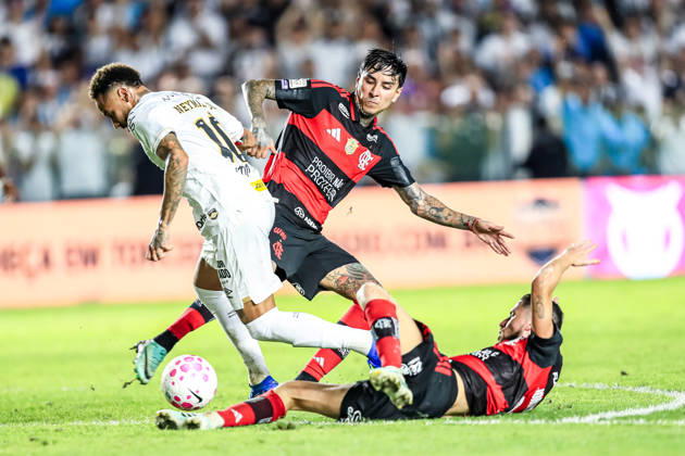 Fußball, Brasilien, FC Santos - Flamengo Rio de Janeiro