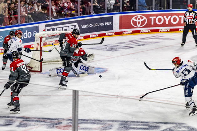 Ice hockey, DEL, Kölner Haie – Schwenninger Wild Wings