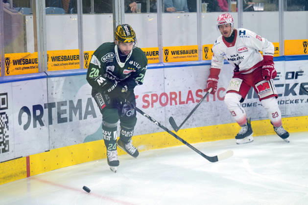 Ice hockey, DEL2, Bietigheim Steelers v EC Bad Nauheim