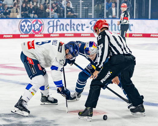 Ice hockey, DEL, EHC Red Bull Munich v ERC Ingolstadt
