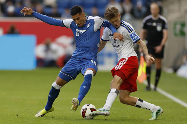 Fußball, 1. BL, TSG 1899 Hoffenheim - Hamburger SV