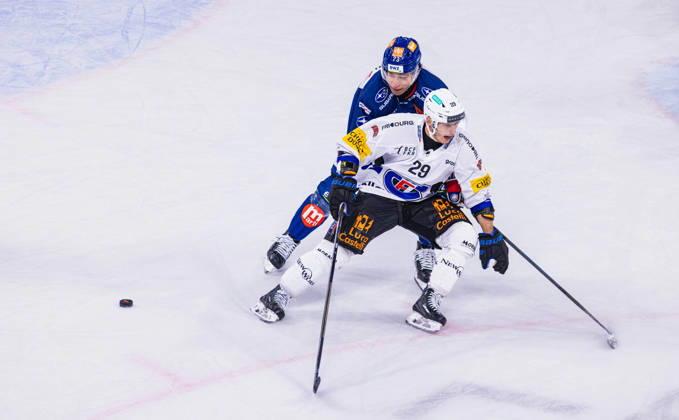Ice hockey, NL, ZSC Lions v HC Fribourg-Gotteron