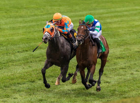 Equestrian sports, horse racing, race day in Lexington