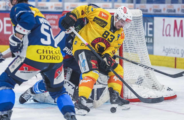 October 10, 2026, Quinto, Gottardo Arena, NL: HC Ambri Piotta vs. SC Bern 83 Marco Muller Bern in action at the Gottardo Arena in Quinto, Ticino, Switzerland Copyright: xJustPictures.ch JarixPestelaccix jp-en-JaPe-JP6_JAr_NL_HCAP_SCBern_10Ott2026_000096
