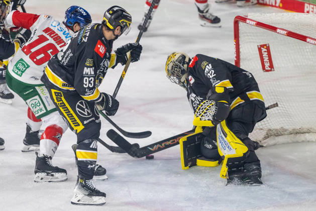 Face-off between Cameron Wright of the Augsburger Panther (No. 16) and Stuart Percy of the Krefeld Pinguine (No. 93); Krefeld Pinguine vs. Augsburger Panther, ice hockey, Penny DEL, Matchday 8, 2026–2027 season, October 11, 2026, Krefeld Pinguine vs. Augsburger Panther, ice hockey, Penny DEL, Matchday 8, 2026–2027 season, October 11, 2026, Krefeld Copyright: xEibner-Pressefoto ThomasxHaeslerx EP_THR