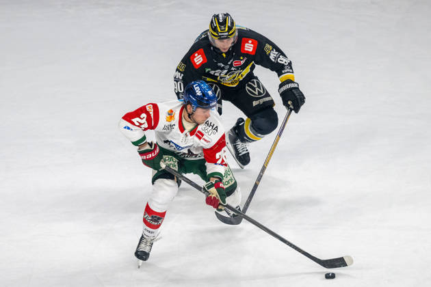Face-off between Alexander Blank of the Augsburger Panther, 26, and Adam Payerl of the Krefeld Pinguine, 90; Krefeld Pinguine vs. Augsburger Panther, ice hockey, Penny DEL, Matchday 8, 2026–2027 season, October 11, 2026, Krefeld Pinguine vs. Augsburger Panther, ice hockey, Penny DEL, Matchday 8, 2026–2027 season, October 11, 2026, Krefeld Copyright: xEibner-Pressefoto ThomasxHaeslerx EP_THR