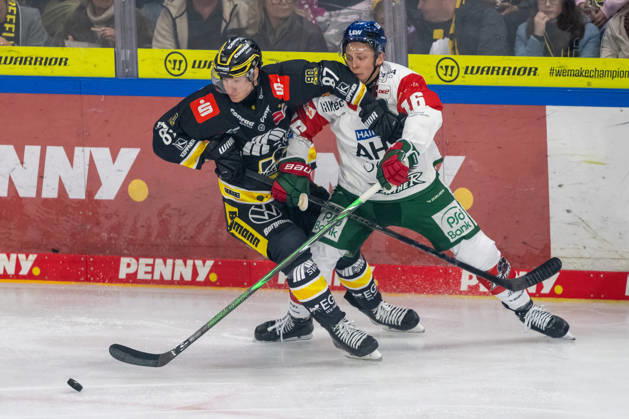 Face-off between Philip Gogulla of the Krefeld Pinguine (No. 87) and Cameron Wright of the Augsburger Panther (No. 16); Krefeld Pinguine vs. Augsburger Panther, ice hockey, Penny DEL, Matchday 8, 2026–2027 season, October 11, 2026, Krefeld Pinguine vs. Augsburger Panther, Ice Hockey, Penny DEL, Matchday 8, 2026–2027 Season, October 11, 2026, Krefeld Copyright: xEibner-Pressefoto ThomasxHaeslerx EP_THR