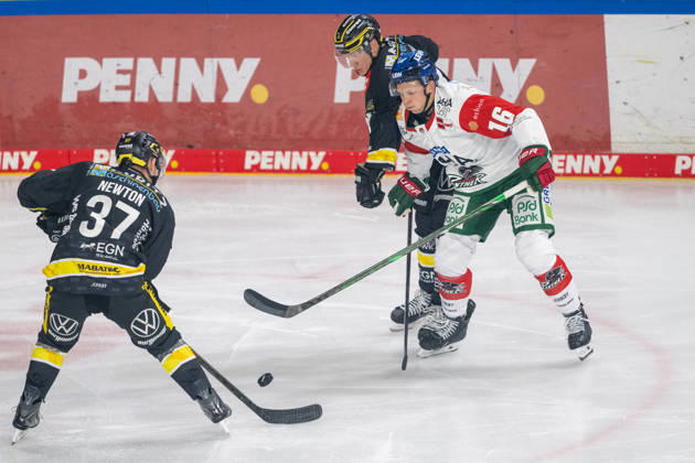 Face-off between Max Newton (Krefeld Pinguine, 37), Cameron Wright (Augsburger Panther, 16), and Philip Gogulla (Krefeld Pinguine, 87) – Krefeld Pinguine vs. Augsburger Panther, ice hockey, Penny DEL, Matchday 8, 2026–2027 season, October 11, 2026 Krefeld Pinguine vs. Augsburger Panther, ice hockey, Penny DEL, Matchday 8, 2026–2027 season, October 11, 2026, Krefeld Copyright: xEibner-Pressefoto ThomasxHaeslerx EP_THR