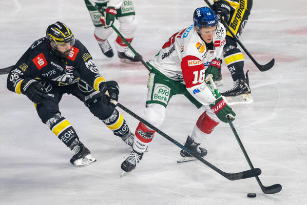 Face-off between Davis Vandane of the Krefeld Pinguine (55) and Cameron Wright of the Augsburger Panther (16); Krefeld Pinguine vs. Augsburger Panther, ice hockey, Penny DEL, Matchday 8, 2026–2027 season, October 11, 2026, Krefeld Pinguine vs. Augsburger Panther, Ice Hockey, Penny DEL, Matchday 8, 2026–2027 Season, October 11, 2026, Krefeld Copyright: xEibner-Pressefoto ThomasxHaeslerx EP_THR