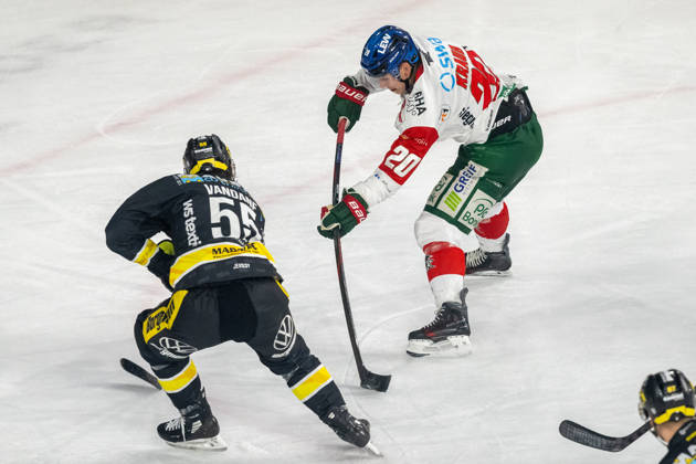 Face-off between Davis Vandane of the Krefeld Pinguine, 55, and Philipp Krauss of the Augsburger Panther, 20; Krefeld Pinguine vs. Augsburger Panther, ice hockey, Penny DEL, Matchday 8, 2026–2027 season, October 11, 2026, Krefeld Pinguine vs. Augsburger Panther, ice hockey, Penny DEL, Matchday 8, 2026–2027 season, October 11, 2026, Krefeld Copyright: xEibner-Pressefoto ThomasxHaeslerx EP_THR