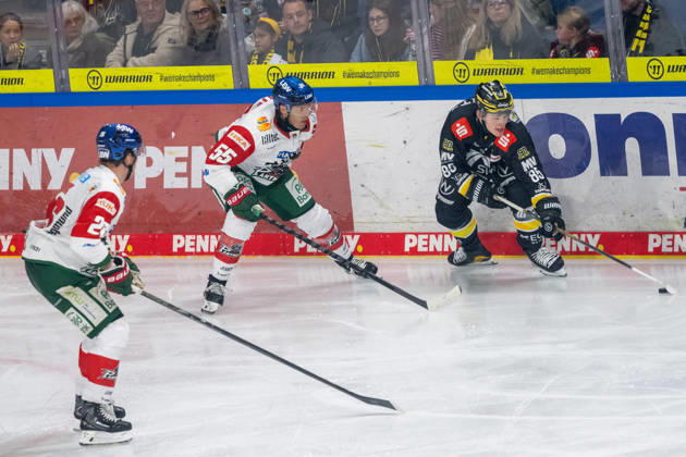 Face-off between Ryan Button of the Augsburger Panther, 55, and Luca Hauf of the Krefeld Pinguine, 85; Krefeld Pinguine vs. Augsburger Panther, ice hockey, Penny DEL, Matchday 8, 2026–2027 season, October 11, 2026, Krefeld Pinguine vs. Augsburger Panther, ice hockey, Penny DEL, Matchday 8, 2026–2027 season, October 11, 2026, Krefeld Copyright: xEibner-Pressefoto ThomasxHaeslerx EP_THR