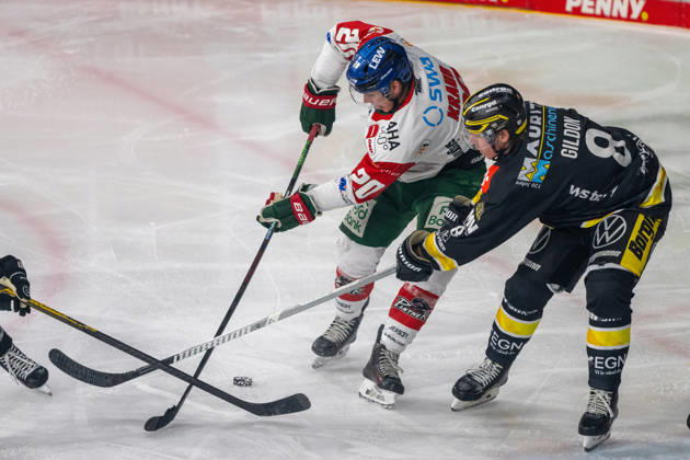 Face-off between Philipp Krauss of the Augsburger Panther (No. 20) and Max Gildon of the Krefeld Pinguine (No. 08); Krefeld Pinguine vs. Augsburger Panther, ice hockey, Penny DEL, Matchday 08, 2026–2027 season, October 11, 2026, Krefeld Pinguine vs. Augsburger Panther, ice hockey, Penny DEL, Matchday 8, 2026–2027 season, October 11, 2026, Krefeld Copyright: xEibner-Pressefoto ThomasxHaeslerx EP_THR