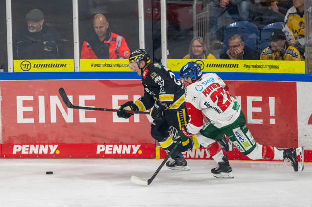 Face-off between Max Newton of the Krefeld Pinguine, 37, and Kyle Mayhew of the Augsburger Panther, 27; Krefeld Pinguine vs. Augsburger Panther, ice hockey, Penny DEL, Matchday 8, 2026–2027 season, October 11, 2026, Krefeld Pinguine vs. Augsburger Panther, ice hockey, Penny DEL, Matchday 8, 2026–2027 season, October 11, 2026, Krefeld Copyright: xEibner-Pressefoto ThomasxHaeslerx EP_THR
