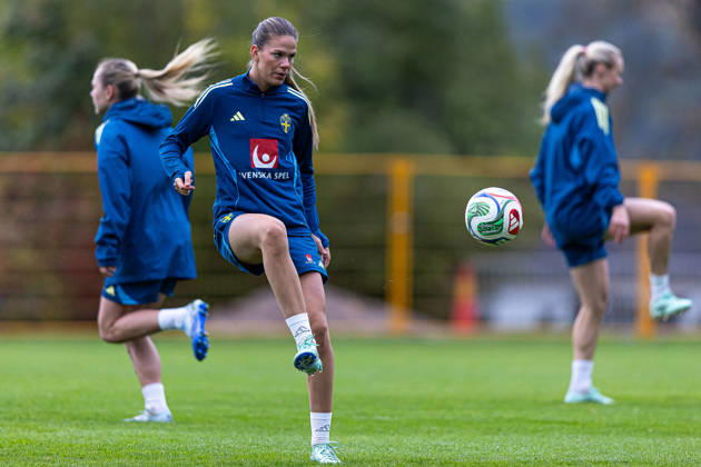 Football, women, Sweden national team, training