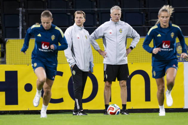 Football, women, Sweden national team, training