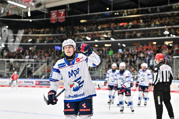 Penny DEL Augsburger Panther vs. Adler Mannheim, October 16, 2026, AUGSBURG, GERMANY, OCTOBER 16: The visiting fans celebrate after Zachary SOLOW scores to make it 1–2 for Adler Mannheim. Goal, goal scorer, joy, happy during the Penny DEL match between the Augsburger Panther and Adler Mannheim on Matchday 9 at Curt Frenzel Stadium Copyright: xBEAUTIFULxSPORTS Goldbergx