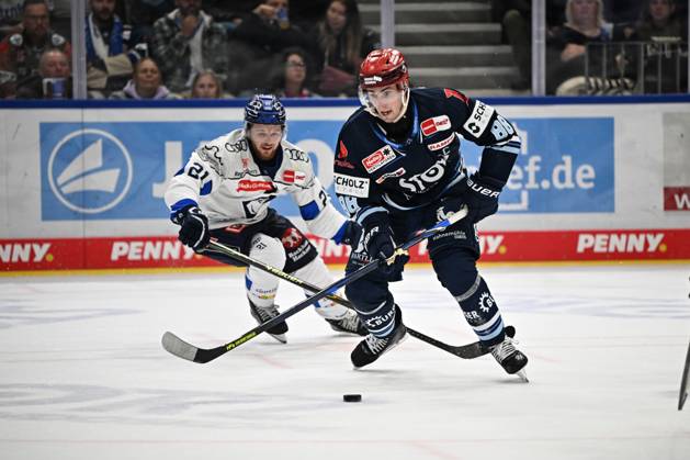 Ice hockey, DEL, Schwenninger Wild Wings v ERC Ingolstadt