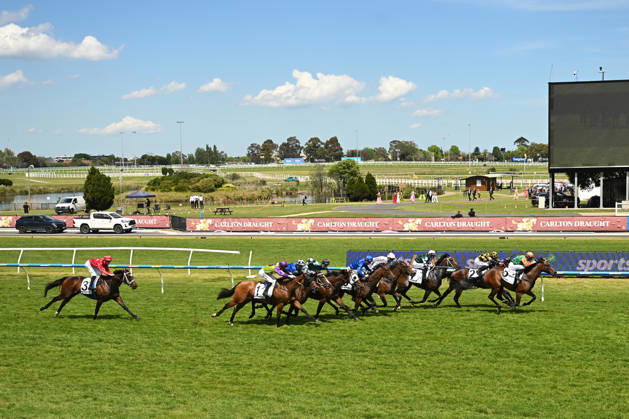 Equestrian sports, horse racing, the Caulfield Cup in Melbourne