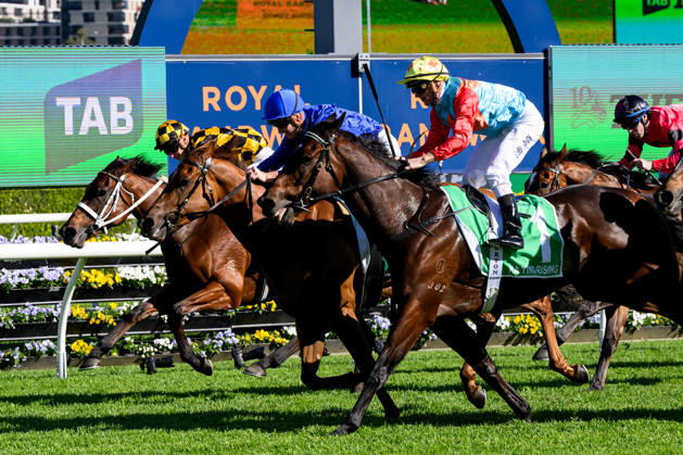 Equestrian sports, horse racing, The Everest in Sydney
