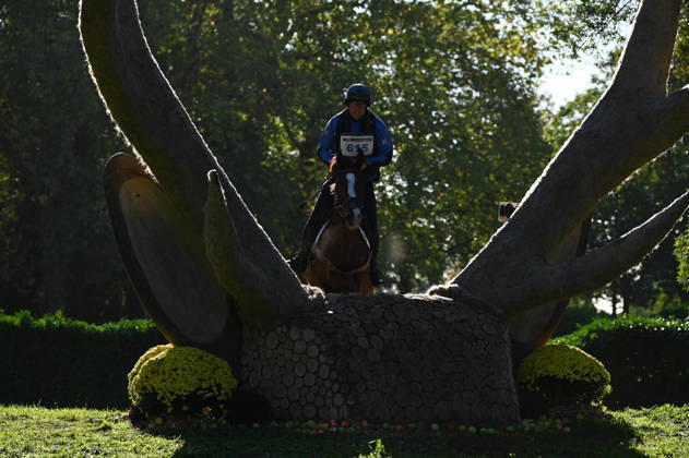 MONDIAL DU LION 2026 - CROSS COUNTRY LE LION-D ANGERS, FRANCE - OCTOBER 17, 2026 : Andrea Cincinnati riding Chris Lut during the cross-country competition at the Mondial du Lion 2026, FEI WBFSH Eventing World Breeding Championship for Young Horses. Le Lion-d AngersFrance  Copyright: xEmilienxJousselinx