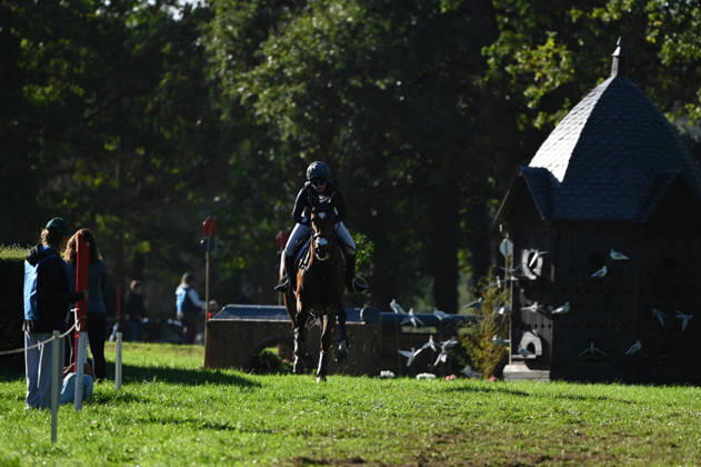MONDIAL DU LION 2026 - CROSS COUNTRY LE LION-D ANGERS, FRANCE - OCTOBER 17, 2026 : Holly Woodhead riding Greannanstown Sarahs Lady during the cross-country competition at the Mondial du Lion 2026, FEI WBFSH Eventing World Breeding Championship for Young Horses. Le Lion-d AngersFrance  Copyright: xEmilienxJousselinx