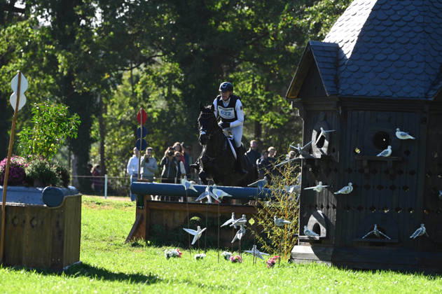 MONDIAL DU LION 2026 - CROSS COUNTRY LE LION-D ANGERS, FRANCE - OCTOBER 17, 2026 : Andreas Dibowski riding Codero during the cross-country competition at the Mondial du Lion 2026, FEI WBFSH Eventing World Breeding Championship for Young Horses. Le Lion-d AngersFrance  Copyright: xEmilienxJousselinx