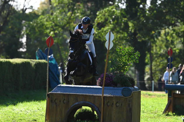 MONDIAL DU LION 2026 - CROSS COUNTRY LE LION-D ANGERS, FRANCE - OCTOBER 17, 2026 : Andreas Dibowski riding Codero during the cross-country competition at the Mondial du Lion 2026, FEI WBFSH Eventing World Breeding Championship for Young Horses. Le Lion-d AngersFrance  Copyright: xEmilienxJousselinx
