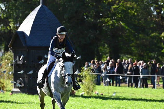 MONDIAL DU LION 2026 - CROSS COUNTRY LE LION-D ANGERS, FRANCE - OCTOBER 17, 2026 : Anni Huovinen riding Ucorona during the cross-country competition at the Mondial du Lion 2026, FEI WBFSH Eventing World Breeding Championship for Young Horses. Le Lion-d AngersFrance  Copyright: xEmilienxJousselinx