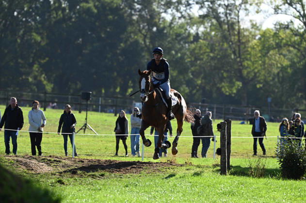 MONDIAL DU LION 2026 - CROSS COUNTRY LE LION-D ANGERS, FRANCE - OCTOBER 17, 2026 : Jack Pinkney riding Barrington Candy Kid during the cross-country competition at the Mondial du Lion 2026, FEI WBFSH Eventing World Breeding Championship for Young Horses. Le Lion-d AngersFrance  Copyright: xEmilienxJousselinx