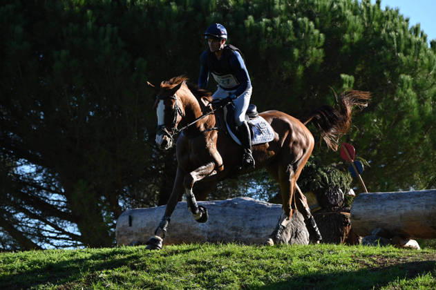 MONDIAL DU LION 2026 - CROSS COUNTRY LE LION-D ANGERS, FRANCE - OCTOBER 17, 2026 : Jack Pinkney riding Barrington Candy Kid during the cross-country competition at the Mondial du Lion 2026, FEI WBFSH Eventing World Breeding Championship for Young Horses. Le Lion-d AngersFrance  Copyright: xEmilienxJousselinx