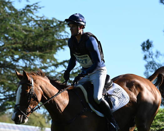 MONDIAL DU LION 2026 - CROSS COUNTRY LE LION-D ANGERS, FRANCE - OCTOBER 17, 2026 : Jack Pinkney riding Barrington Candy Kid during the cross-country competition at the Mondial du Lion 2026, FEI WBFSH Eventing World Breeding Championship for Young Horses. Le Lion-d AngersFrance  Copyright: xEmilienxJousselinx