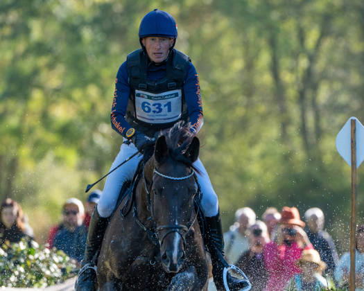 MONDIAL DU LION 2026 - CROSS COUNTRY LE LION-D ANGERS, FRANCE - OCTOBER 17, 2026 : Patrick Verbakel riding Passoa during the cross-country competition at the Mondial du Lion 2026, FEI WBFSH Eventing World Breeding Championship for Young Horses. Le Lion-d AngersFrance  Copyright: xEmilienxJousselinx