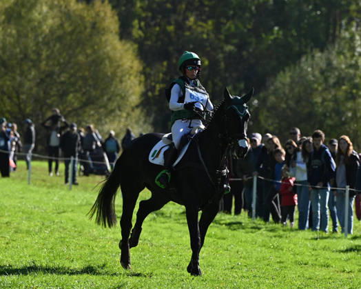 MONDIAL DU LION 2026 - CROSS COUNTRY LE LION-D ANGERS, FRANCE - OCTOBER 17, 2026 : Sarah Ennis riding Lady Sky M during the cross-country competition at the Mondial du Lion 2026, FEI WBFSH Eventing World Breeding Championship for Young Horses. Le Lion-d AngersFrance  Copyright: xEmilienxJousselinx