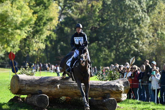 MONDIAL DU LION 2026 - CROSS COUNTRY LE LION-D ANGERS, FRANCE - OCTOBER 17, 2026 : Lara de Liedekerke-Meier riding Herakles during the cross-country competition at the Mondial du Lion 2026, FEI WBFSH Eventing World Breeding Championship for Young Horses. Le Lion-d AngersFrance  Copyright: xEmilienxJousselinx