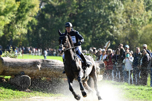 MONDIAL DU LION 2026 - CROSS COUNTRY LE LION-D ANGERS, FRANCE - OCTOBER 17, 2026 : Lara de Liedekerke-Meier riding Herakles during the cross-country competition at the Mondial du Lion 2026, FEI WBFSH Eventing World Breeding Championship for Young Horses. Le Lion-d AngersFrance  Copyright: xEmilienxJousselinx