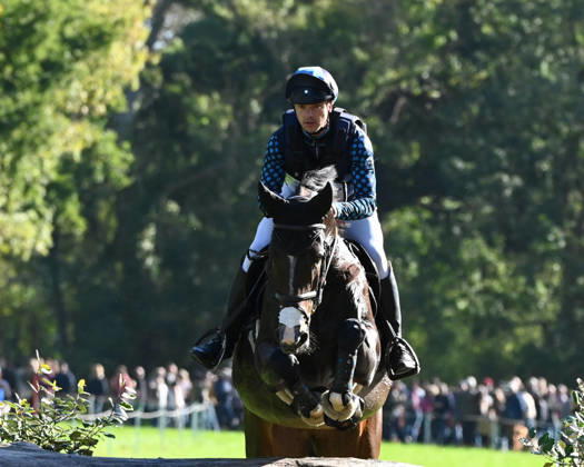 MONDIAL DU LION 2026 - CROSS COUNTRY LE LION-D ANGERS, FRANCE - OCTOBER 17, 2026 : Jordy Wilken riding Platina Spirit during the cross-country competition at the Mondial du Lion 2026, FEI WBFSH Eventing World Breeding Championship for Young Horses. Le Lion-d AngersFrance  Copyright: xEmilienxJousselinx