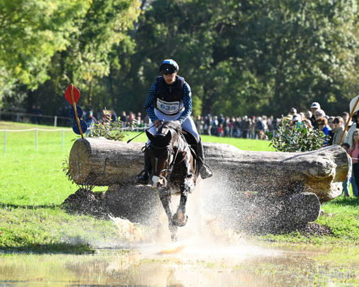 MONDIAL DU LION 2026 - CROSS COUNTRY LE LION-D ANGERS, FRANCE - OCTOBER 17, 2026 : Jordy Wilken riding Platina Spirit during the cross-country competition at the Mondial du Lion 2026, FEI WBFSH Eventing World Breeding Championship for Young Horses. Le Lion-d AngersFrance  Copyright: xEmilienxJousselinx
