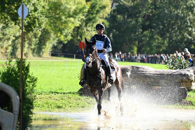MONDIAL DU LION 2026 - CROSS COUNTRY LE LION-D ANGERS, FRANCE - OCTOBER 17, 2026 : Jordy Wilken riding Platina Spirit during the cross-country competition at the Mondial du Lion 2026, FEI WBFSH Eventing World Breeding Championship for Young Horses. Le Lion-d AngersFrance  Copyright: xEmilienxJousselinx