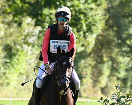 MONDIAL DU LION 2026 - CROSS COUNTRY LE LION-D ANGERS, FRANCE - OCTOBER 17, 2026 : Márton Czirok riding Jump for Joy during the cross-country competition at the Mondial du Lion 2026, FEI WBFSH Eventing World Breeding Championship for Young Horses. Le Lion-d AngersFrance  Copyright: xEmilienxJousselinx
