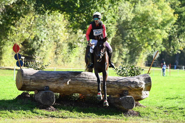 MONDIAL DU LION 2026 - CROSS COUNTRY LE LION-D ANGERS, FRANCE - OCTOBER 17, 2026 : Márton Czirok riding Jump for Joy during the cross-country competition at the Mondial du Lion 2026, FEI WBFSH Eventing World Breeding Championship for Young Horses. Le Lion-d AngersFrance  Copyright: xEmilienxJousselinx