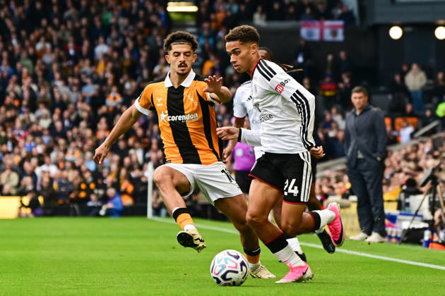 Fußball, England, FC Fulham - Hull City