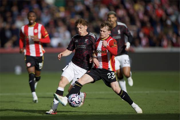Fußball, England, FC Brentford - FC Liverpool