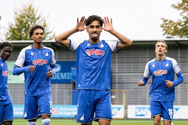 Football, 3rd Division, TSG Hoffenheim II v SC Verl
